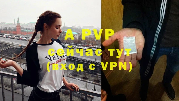 сатива Балахна
