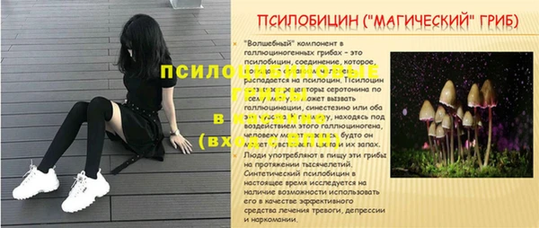 стафф Баксан