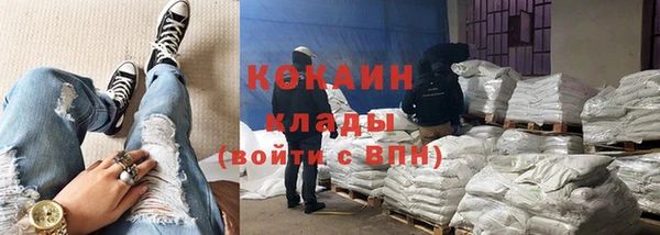 сатива Балахна